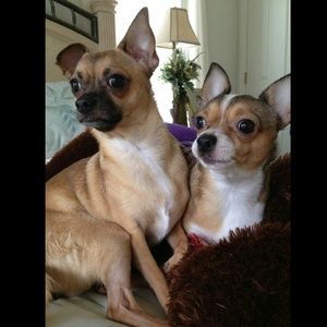 Meet your Posher, Lisa